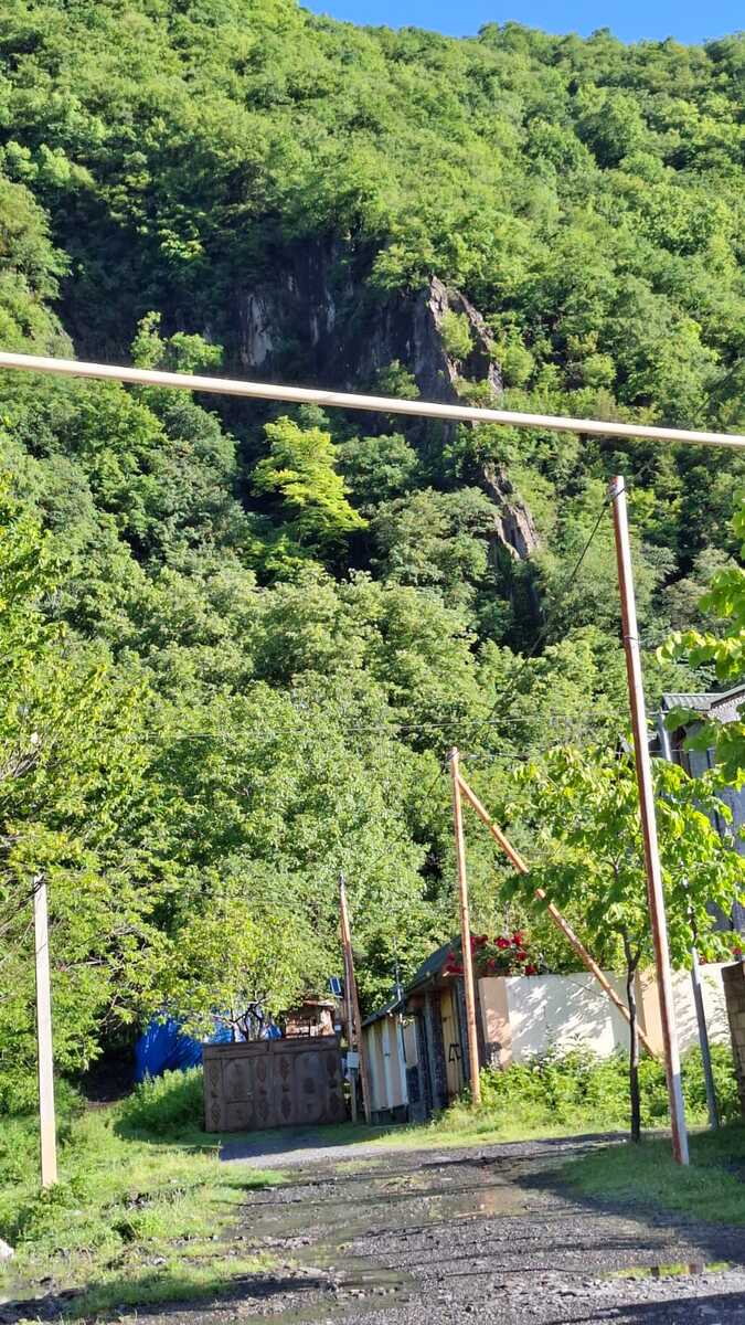 Villa kirayə verilir, Qax r — Ev, villa, Qax (8)