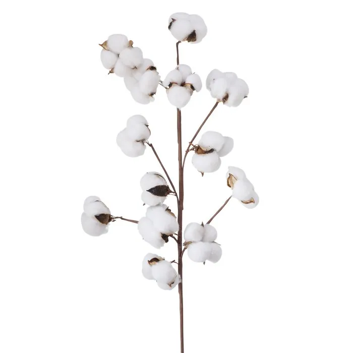Dekorativ gül Boltze Cotton 68 sm — Bakı