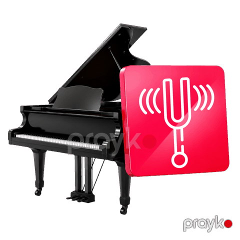 Piano və Royalın quraşdırılması — Bakı