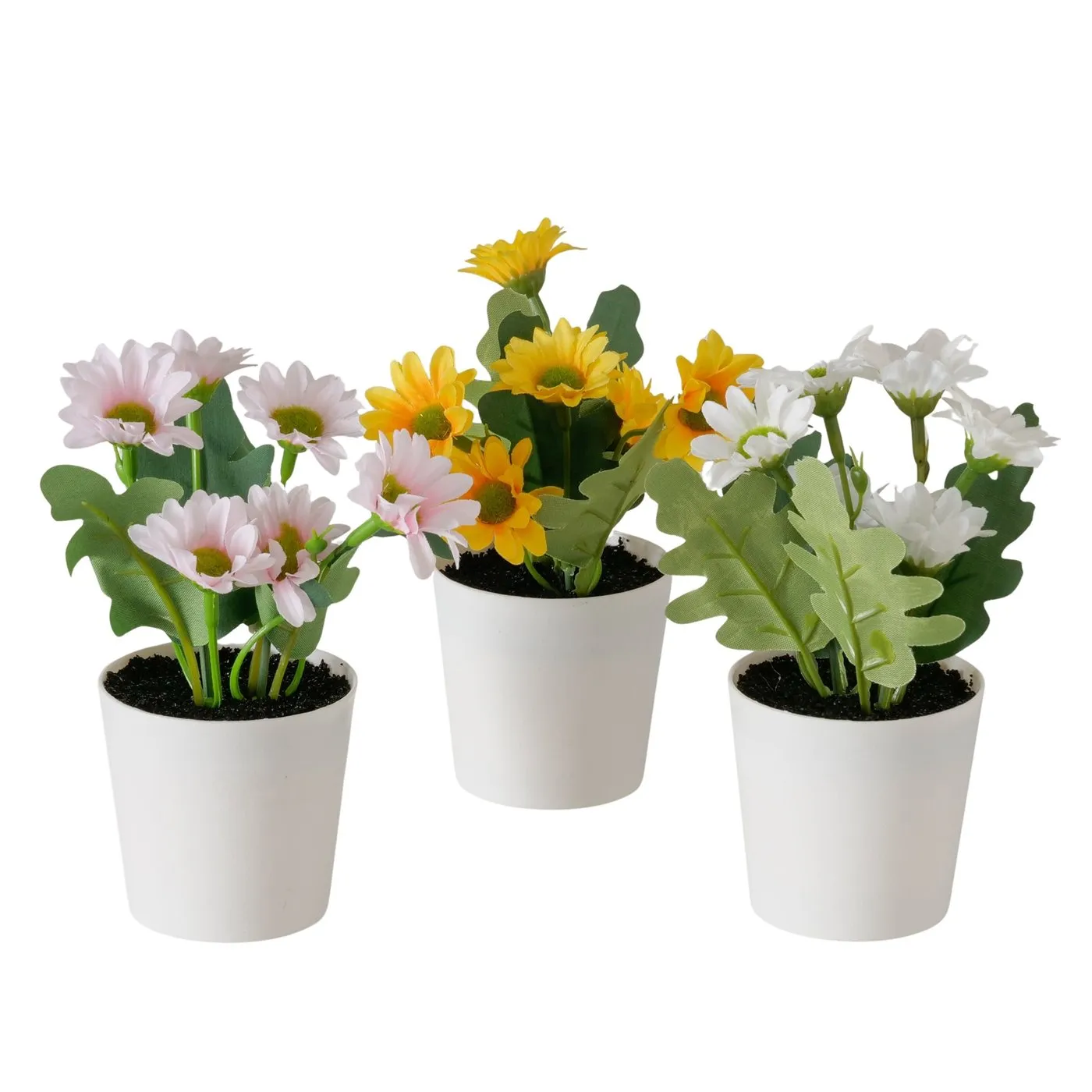 Dekorativ gül Marguerite 14x11 sm, 1 ədəd (2081461) — Bakı