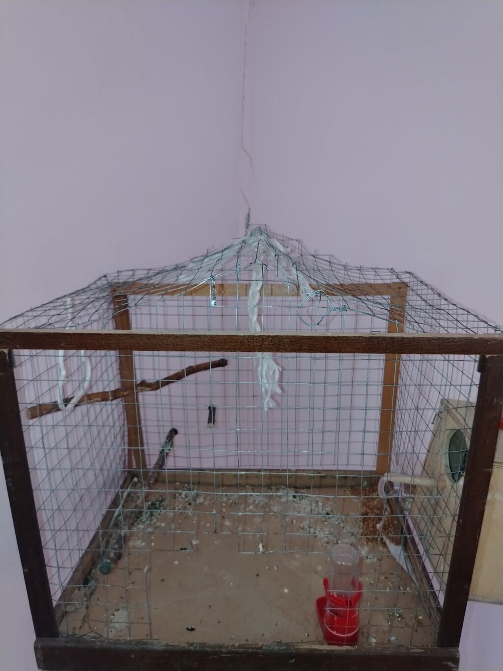 Məhsul: Dalmatin naxışlı mavi-bulat rəngli dalğa papuqayı (budgerigar) — Qəfəslər, Digah (4)