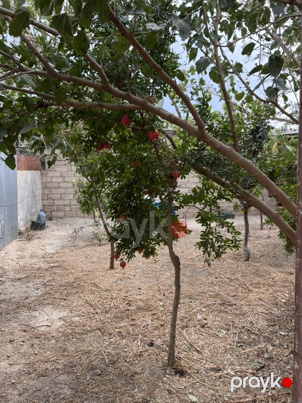 Kirayə ev Hövsan bahar qəsəbəsi Suraxanı rayonu Hövsan bahar — Ev, villa, Bakı (6)