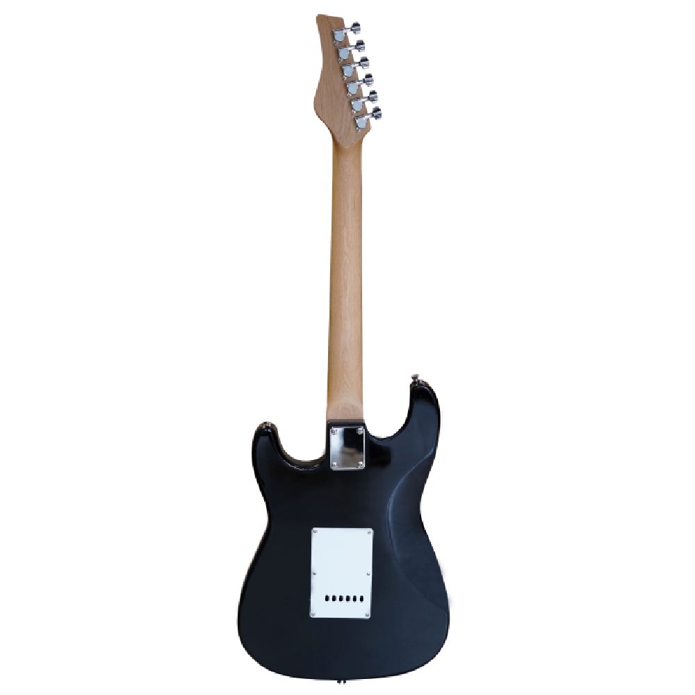 Elektrik gitara Floyd EGS-111 BK — Gitarlar və digər simli alətlər, Bakı (2)