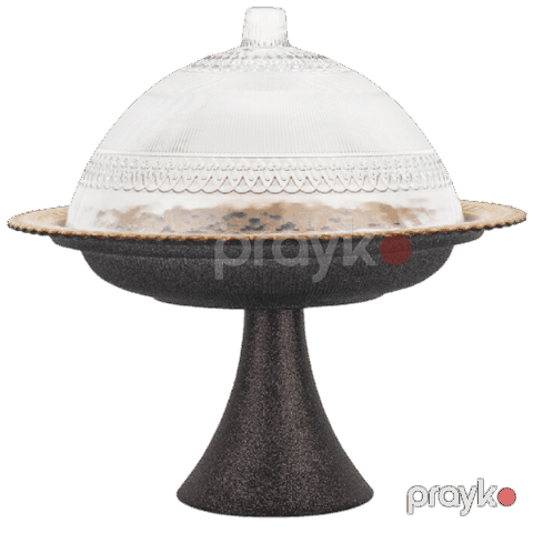 Meyvə qabı Schafer Sepya 8699131789728 — Bakı