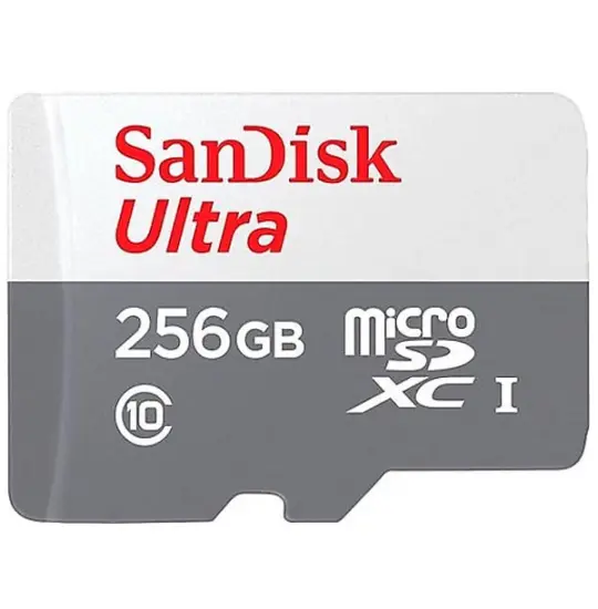 SanDisk Micro 256 GB 10 Class Ultra 100 MB — Memory cards