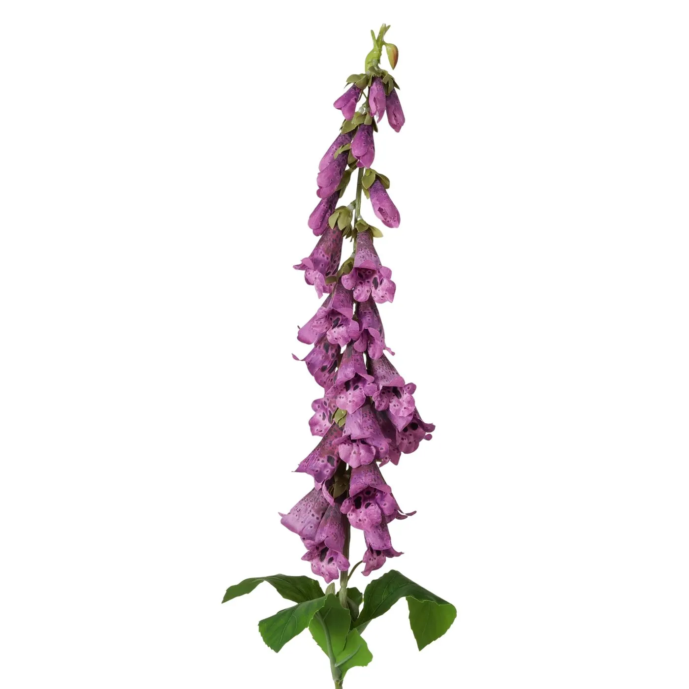 Dekorativ gül Boltze Foxglove 90 cm (2078370) — 42.99 ₼ · Bakı · Vaazalar, kreslolar, süni çiçəklər Dekorativ gül Boltze Foxglove 90 cm (2078370) — Bakı