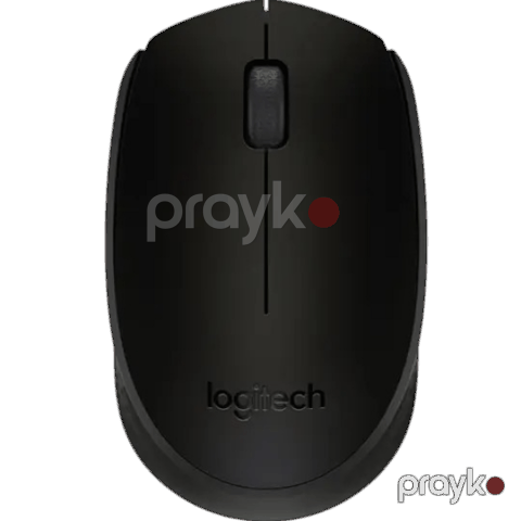 Logitech M171 Mouse Wireless Black — Bakı