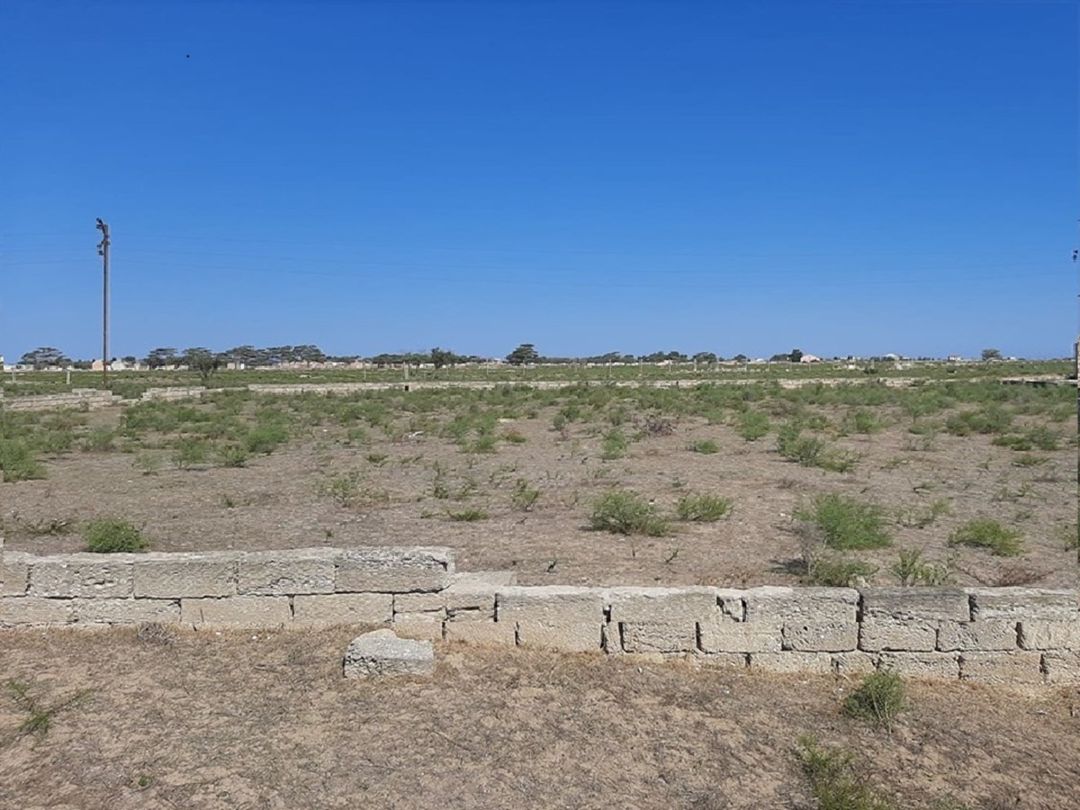 11 sot torpaq sahəsi, Zirə qəs — Torpaq, Bakı (2)