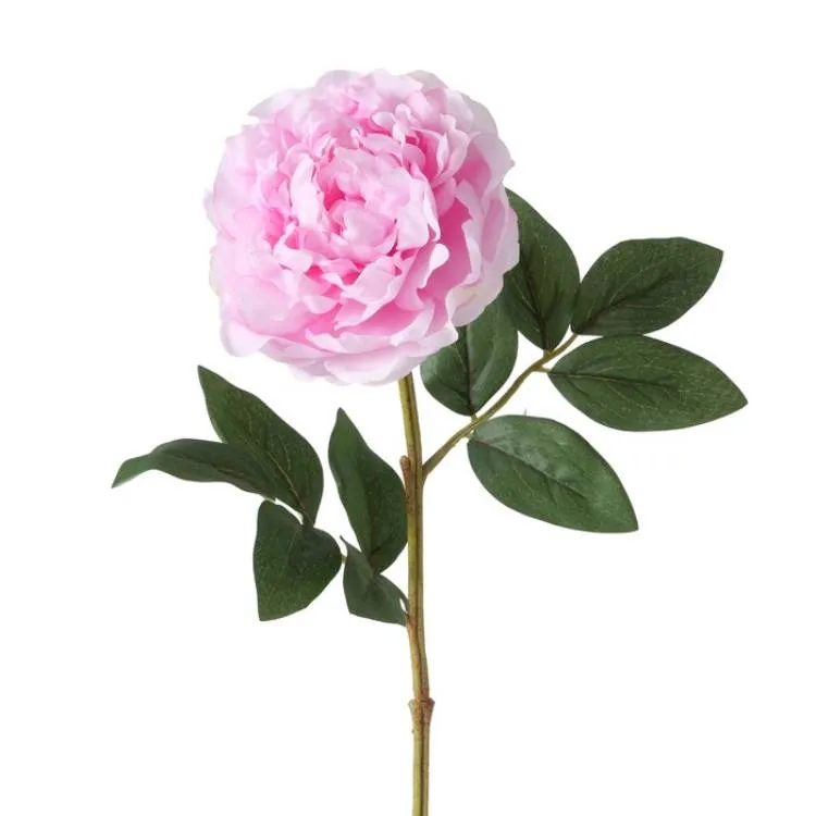 Dekor Boltze Flower stem Peony H17 sm — Bakı