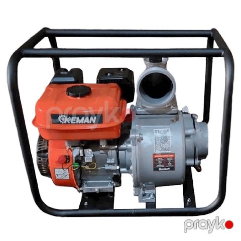 Su nasosu Keman C100