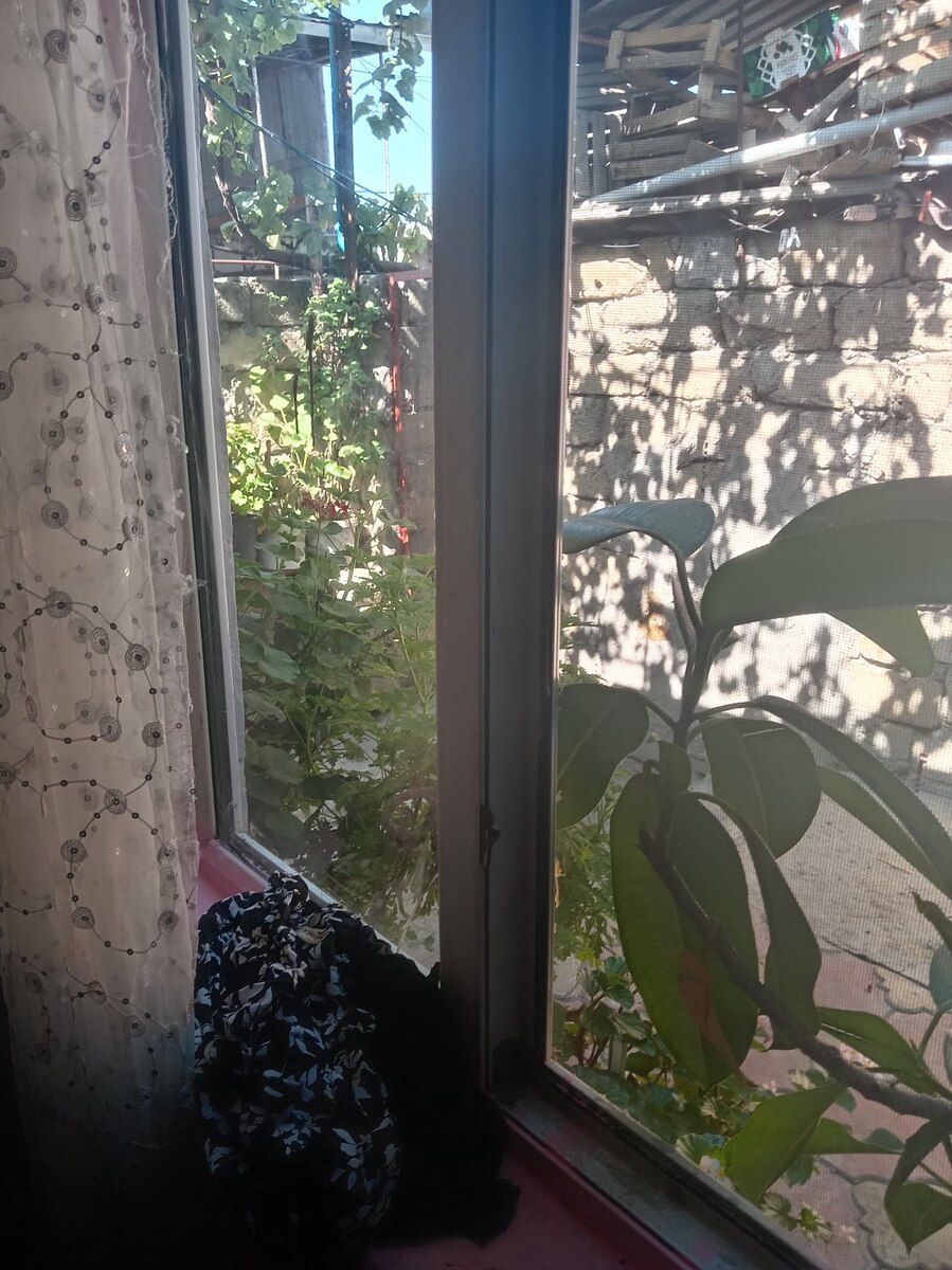 Həyət evi kirayə verilir, Avtovağzal m — Ev, villa, Bakı
