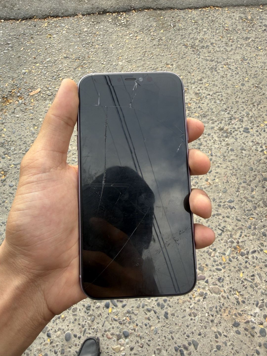 Apple iPhone 11 Purple 64GB/4GB — Smartfonlar, Sabirabad (3)