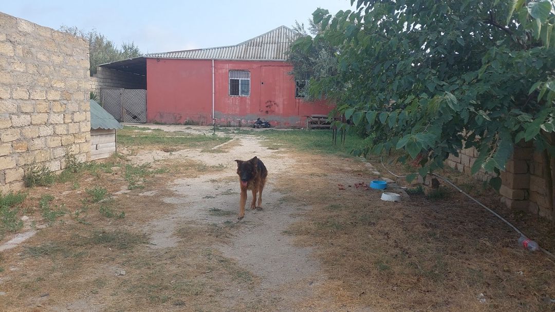 Həyət evi, Pirşağı qəs — Ev, villa, Bakı (7)
