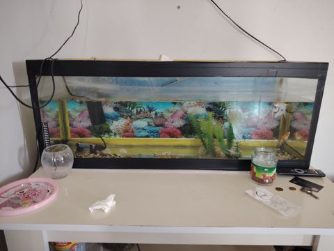 Akvarium — Bakı