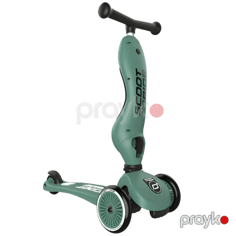 Skuter Scoot & Ride Avstriya Kich 1 Forest — Bakı