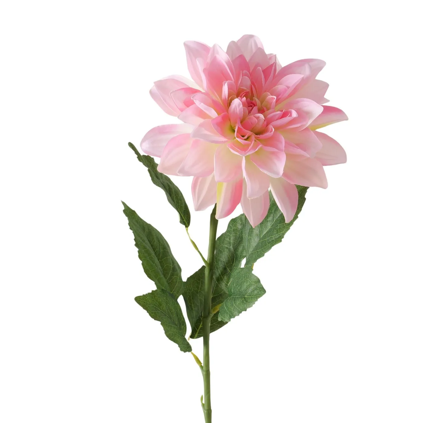 Dekorativ gül Boltze Dahlia 12 sm — Vaazalar, kreslolar, süni çiçəklər, Bakı