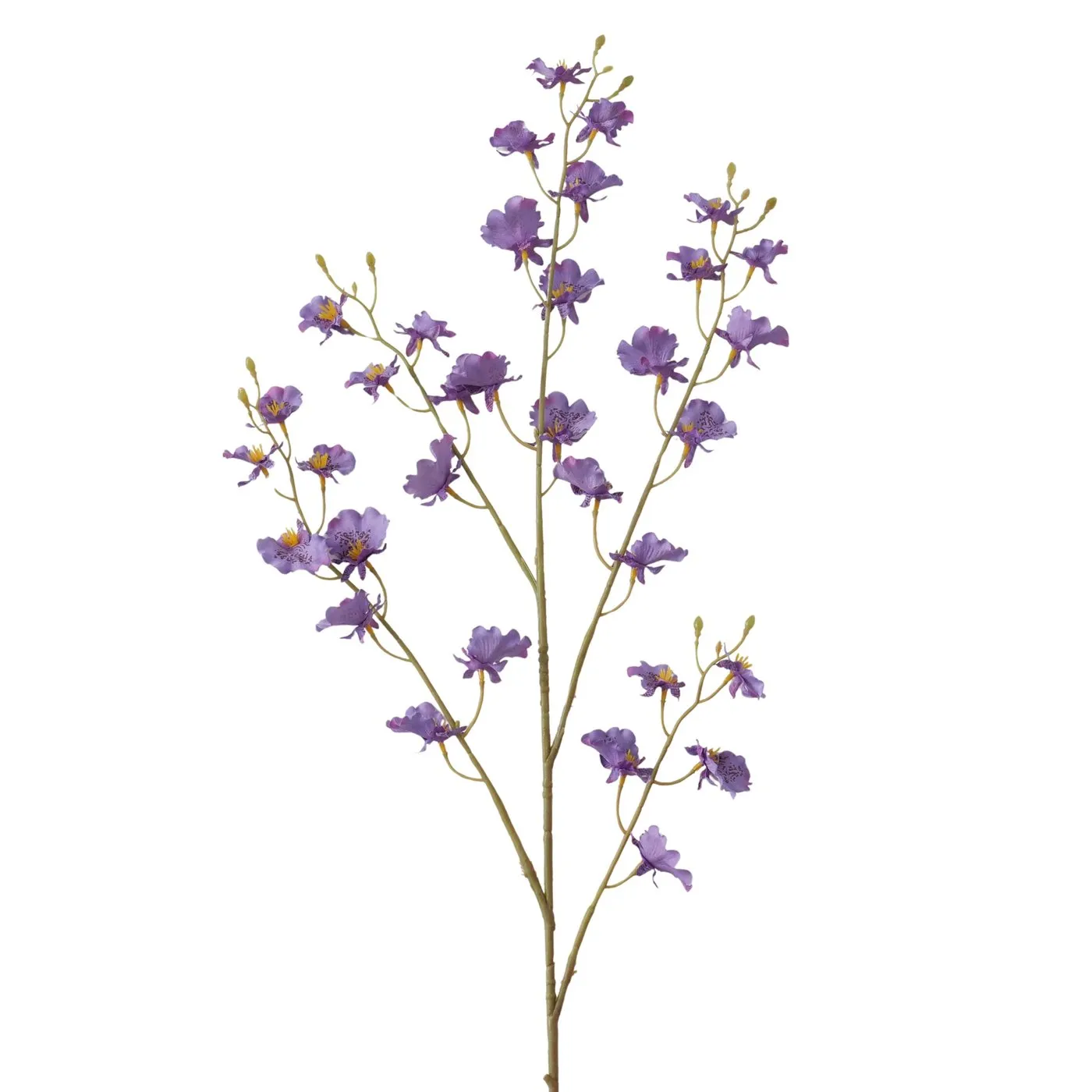 Dekorativ gül Boltze Delphinium 92 sm (2081255) — Bakı