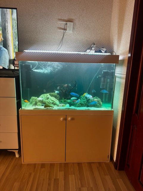 Akvarium — Bakı