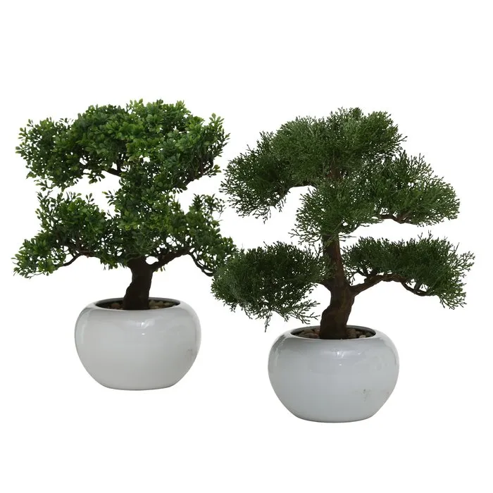 Dekorativ gül Boltze Bonsai 33 sm 1 ədəd — Bakı