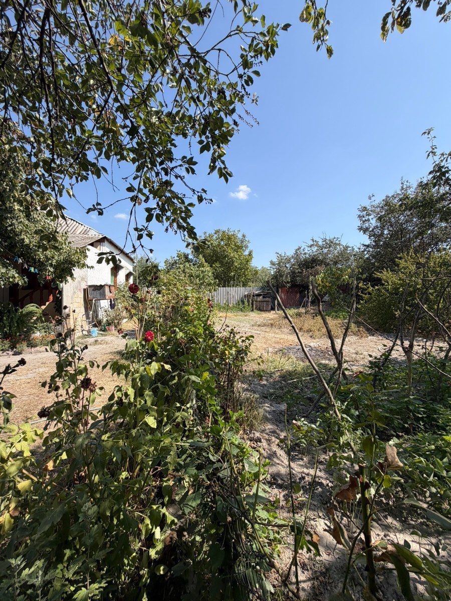 Həyət evi, Şəki ş — Ev, villa, Şəki (8)