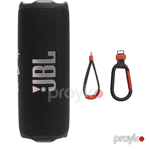 JBL Flip 7 Black — Bakı