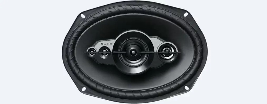 Dinamik Sony XS -XB6951 — Bakı