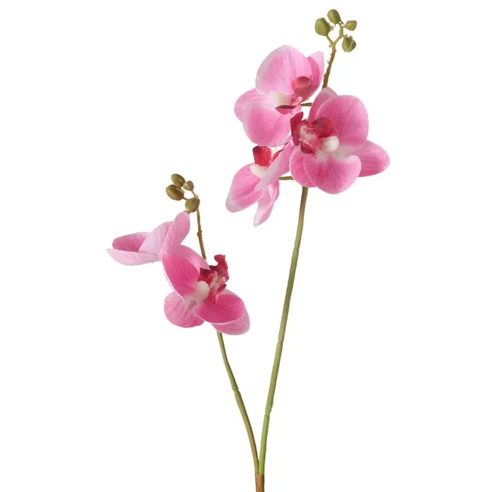 Dekorativ gül Boltze Orchid 36 sm — Bakı