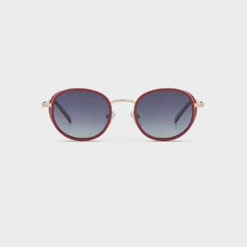 Unisex eynək Despada DS 2500 C3 — Күннен қорғайтын көзілдіріктер