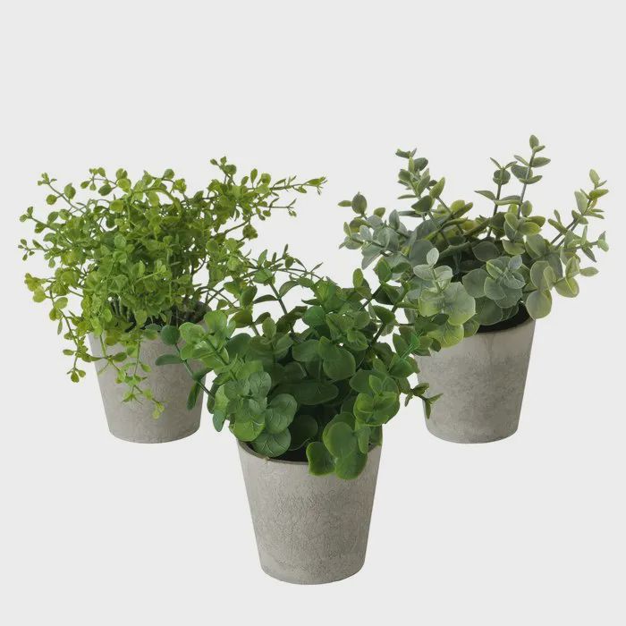 Dekorativ gül Boltze Eucalyptus 18 sm 1 ədəd — Vaazalar, kreslolar, süni çiçəklər, Bakı