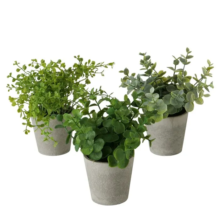 Dekorativ gül Boltze Eucalyptus 18 sm 1 ədəd — Bakı