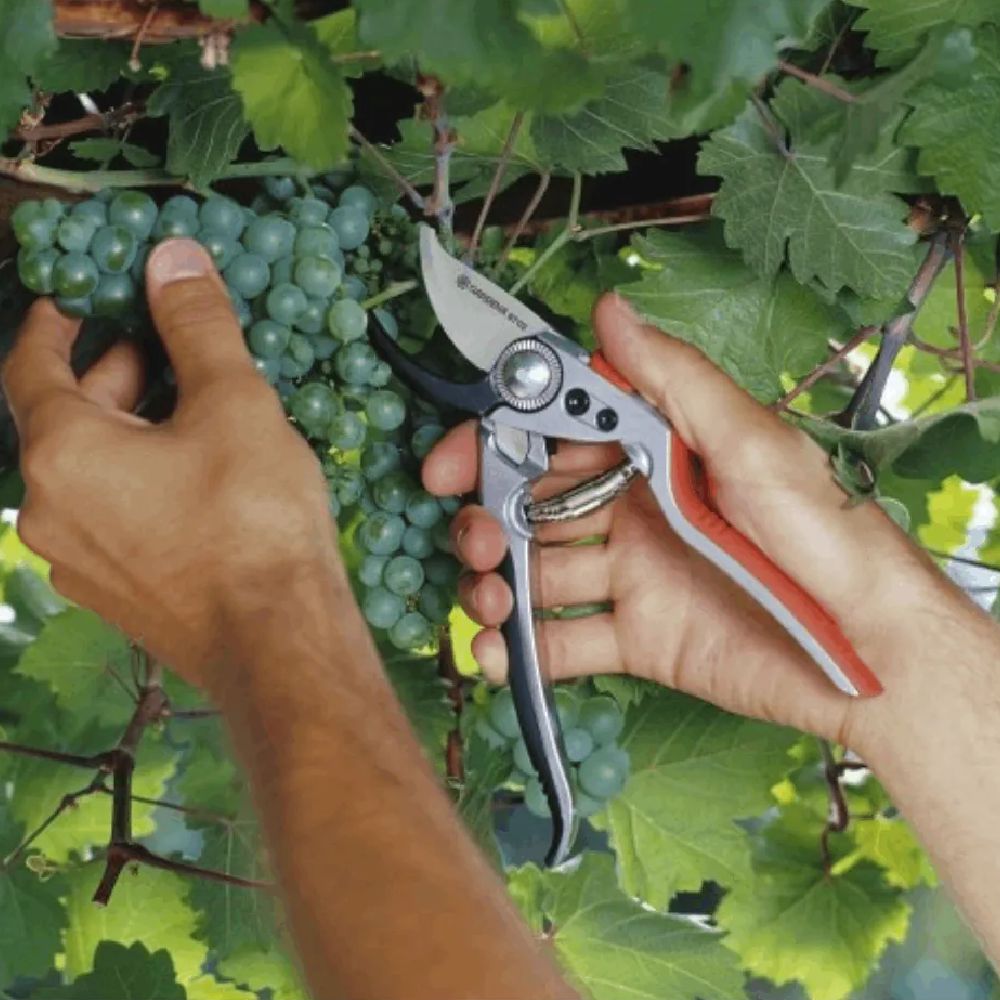 Bağ qayçısı Gardena 8702 — Mallar, Bakı (3)