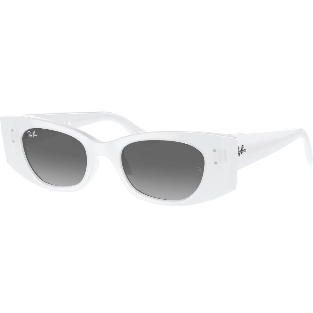 Günəş eynəyi Ray-Ban RB4427 675911 — Aksesuarlar, Bakı (2)