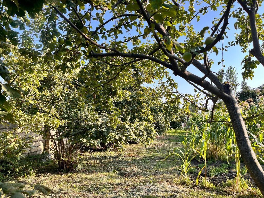 5 sot, Tikinti, Mülkiyyətçi, Kupça (Çıxarış) — Torpaq, İsmayıllı (5)