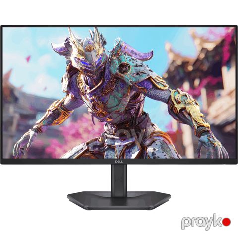 Monitor Dell SE2426HG (210-BTTF_AZ) — Bakı