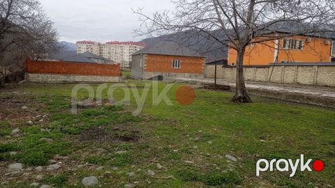 9 sot torpaq sahəsi, Zaqatala ş