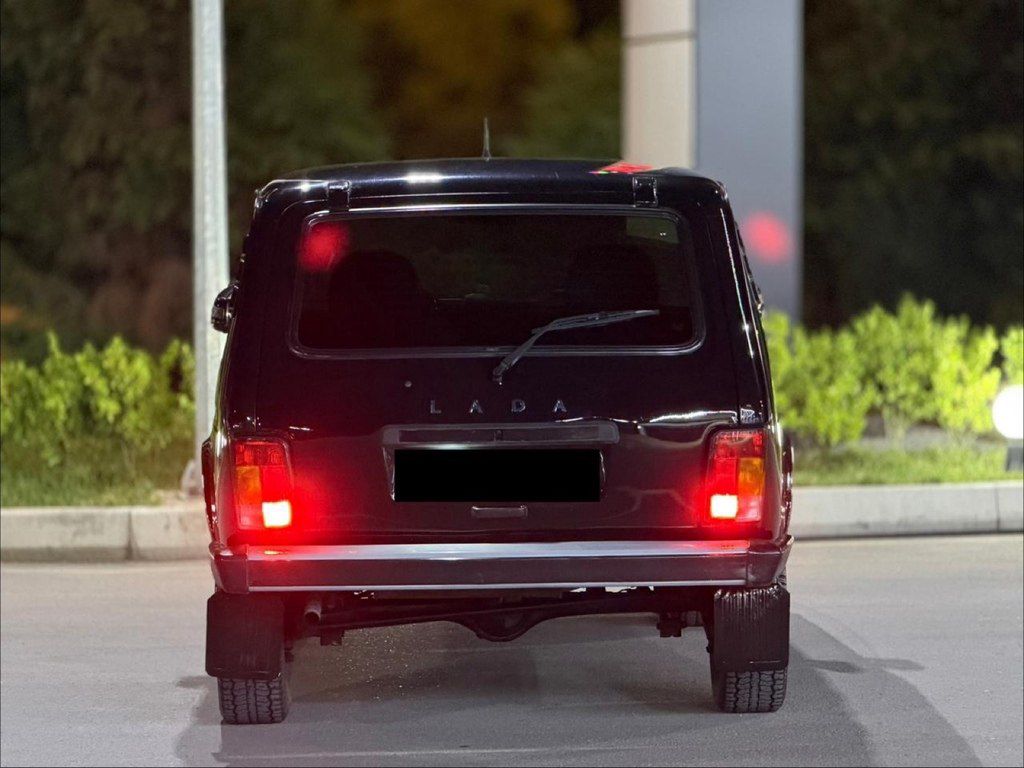 Lada (VAZ) Niva, 1.6 L, 2014 il, 300 000 km — Avtomobillər, Gəncə (5)