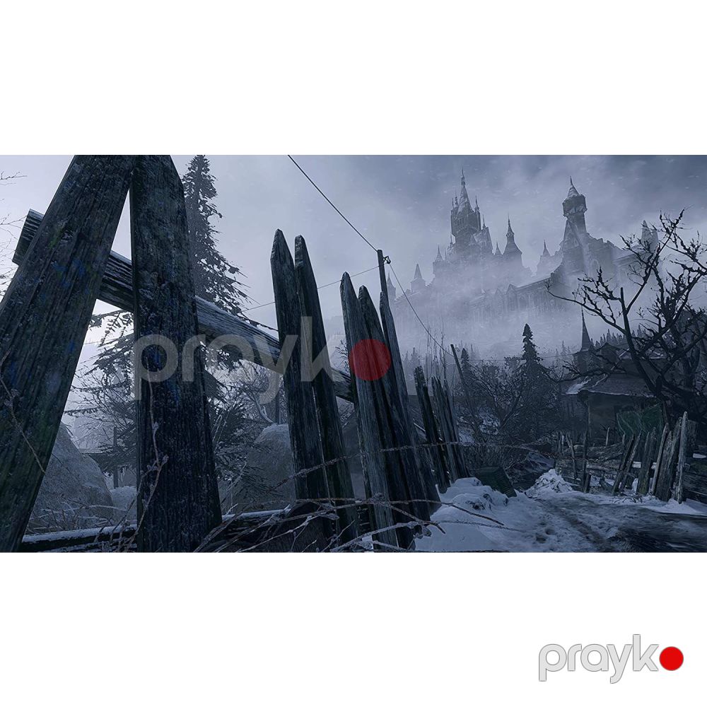 Disk PlayStation 5 (Resident Evil 8) — Konsol oyunları, Bakı (3)