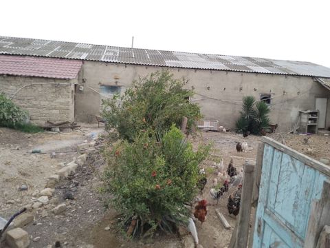 Təsərrüfat üçün hazır tövlə/ferma binası - Bir mərtəbəli, geniş — Bakı