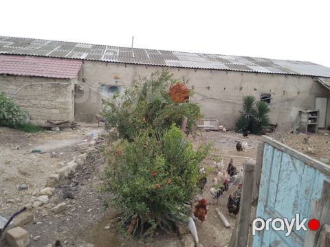 Təsərrüfat üçün hazır tövlə/ferma binası - Bir mərtəbəli, geniş