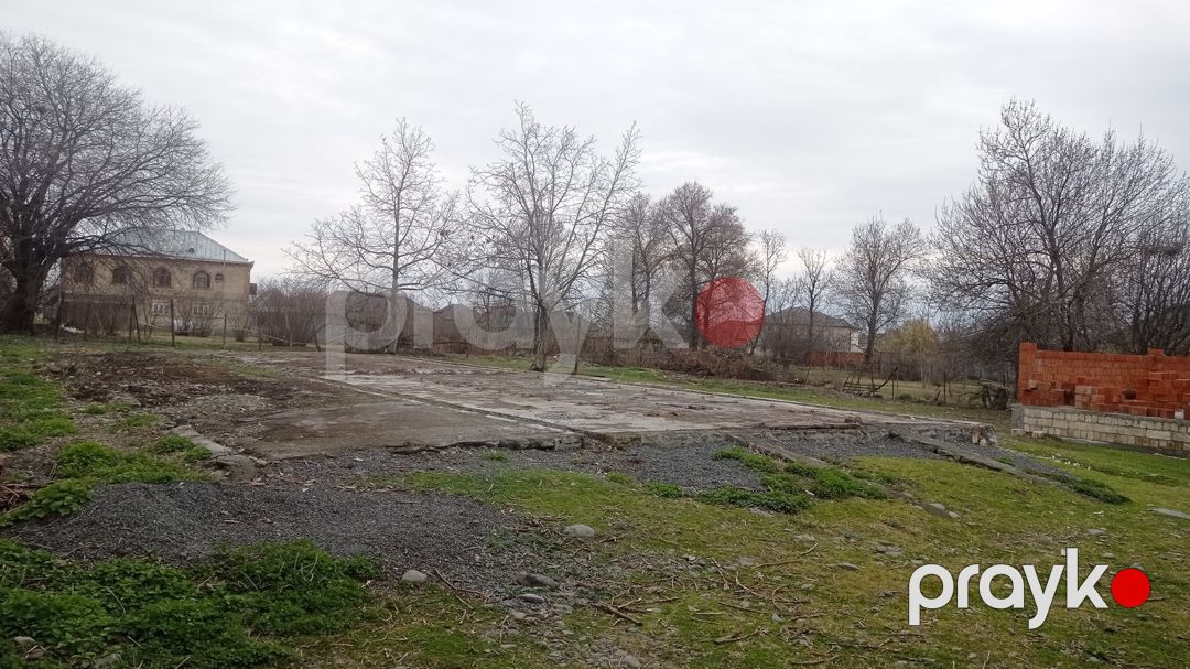 9 sot torpaq sahəsi, Zaqatala ş — Torpaq, Zaqatala (4)