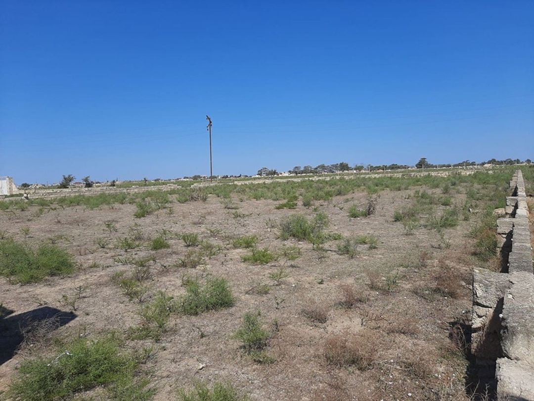 11 sot torpaq sahəsi, Zirə qəs — Torpaq, Bakı