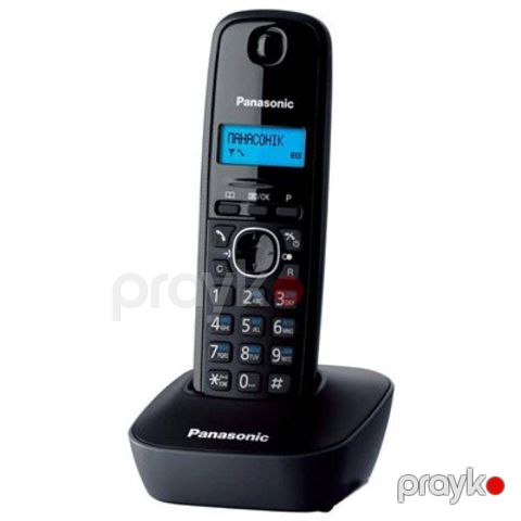 Ev telefonu Panasonic KX-TG1611UAH