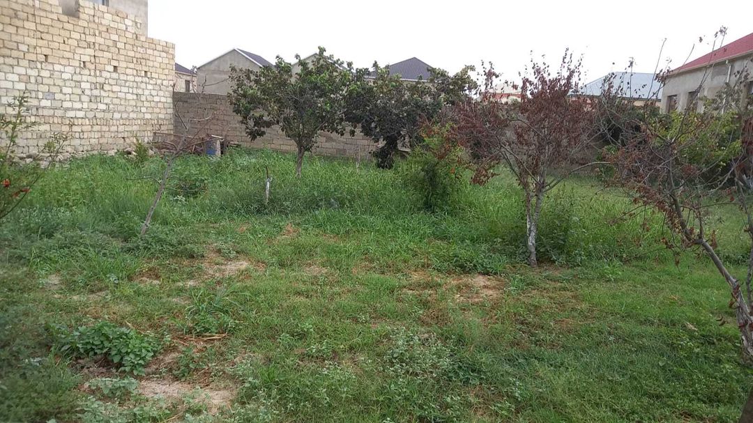 3 sot torpaq sahəsi, Məhəmmədli qəs — Torpaq, Bakı (2)
