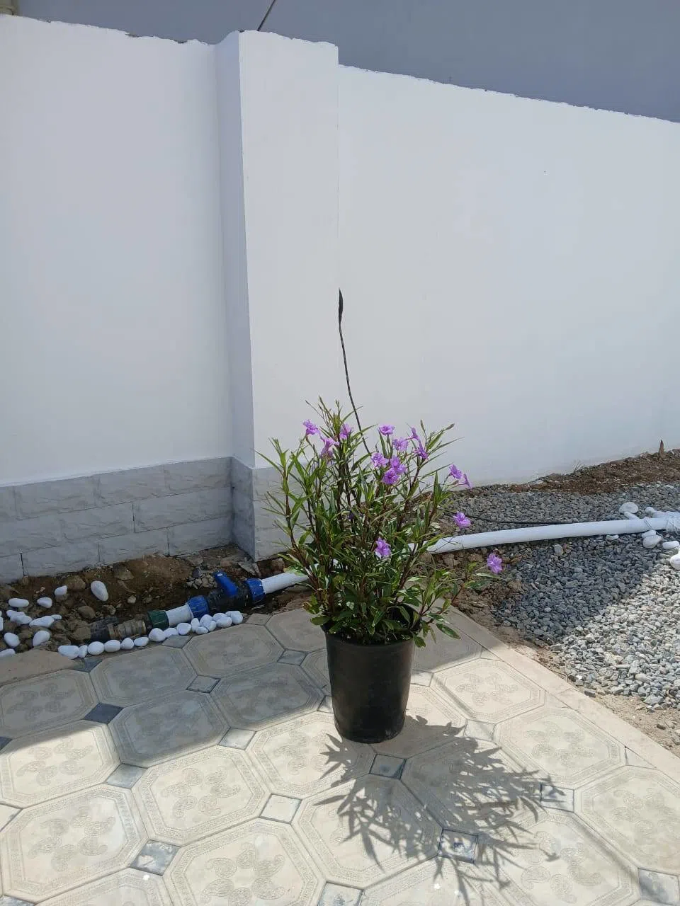 4 otaqlı həyət evi 127 m² satılır — Daşınmaz əmlak, Bakı (12)