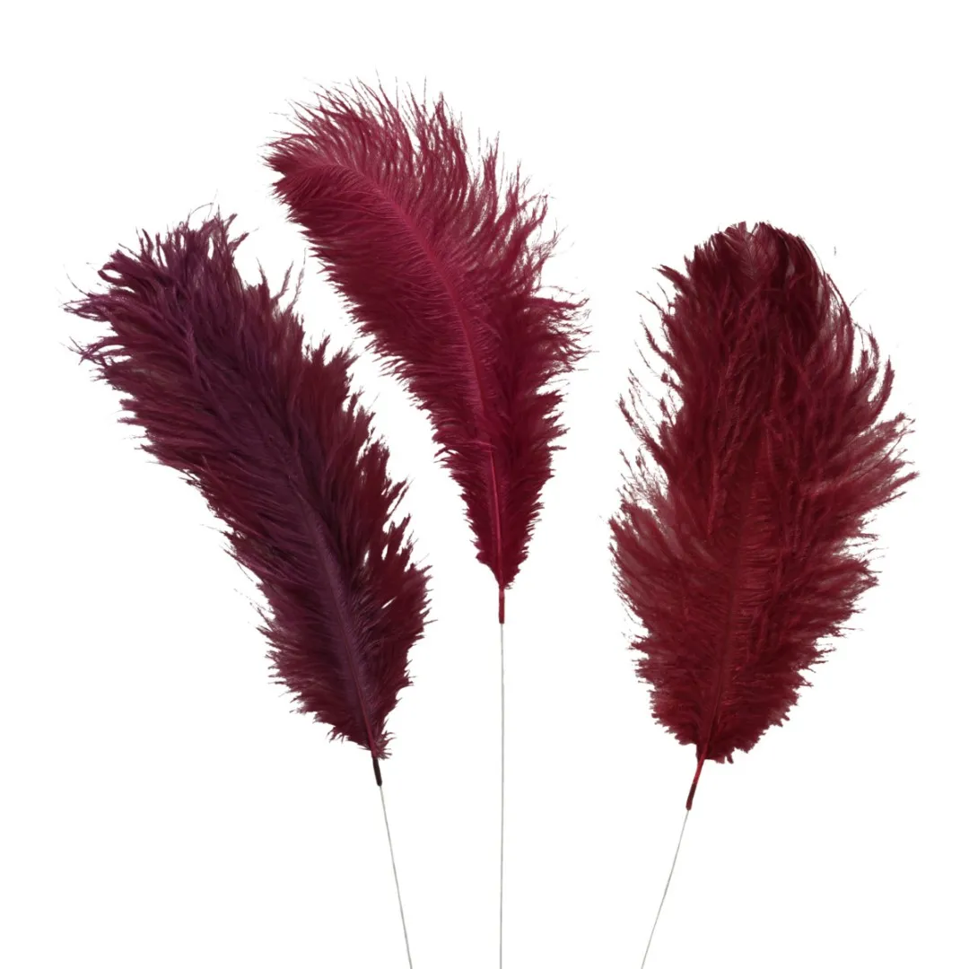 Dekor Boltze Plumia Feathers 53 sm (2024976) — Bakı