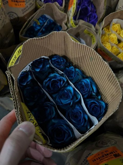 Florist, Qadın, 40 yaş, 1-2 illik təcrübə — Bakı