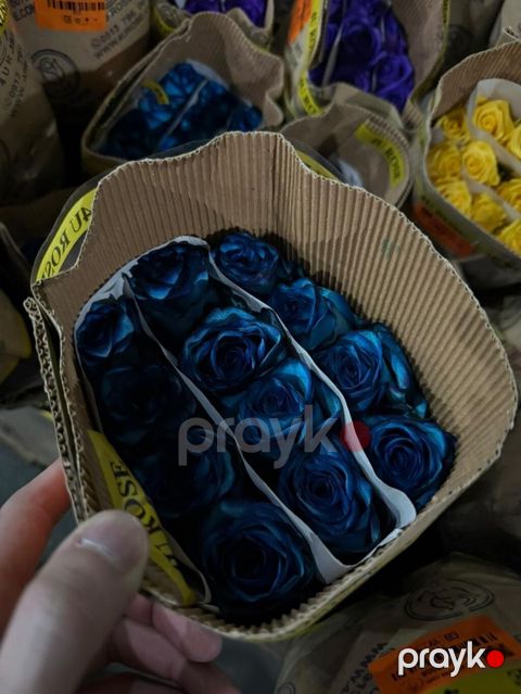 Florist, Qadın, 40 yaş, 1-2 illik təcrübə — Bakı