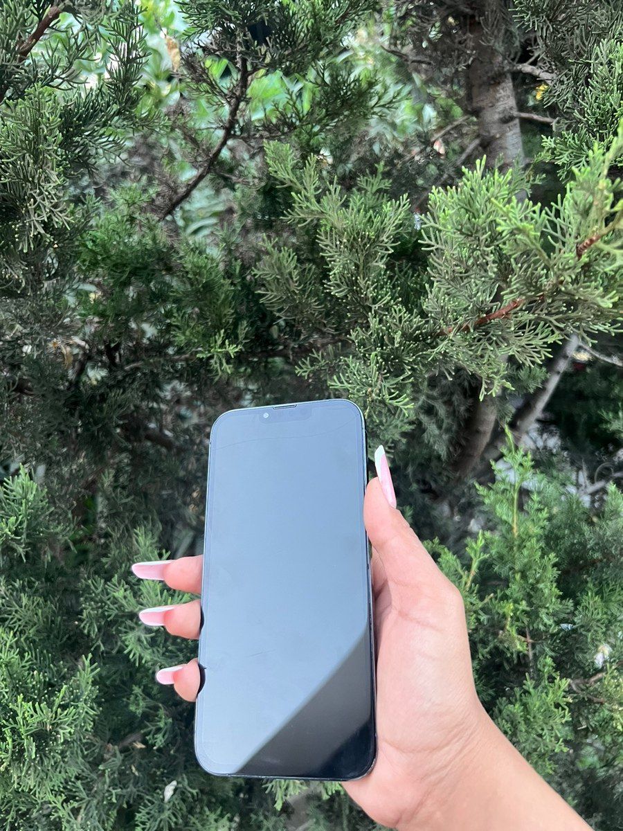 Apple iPhone 13 Pro Max Sierra Blue 128GB/6GB — Smartfonlar, Bakı (6)
