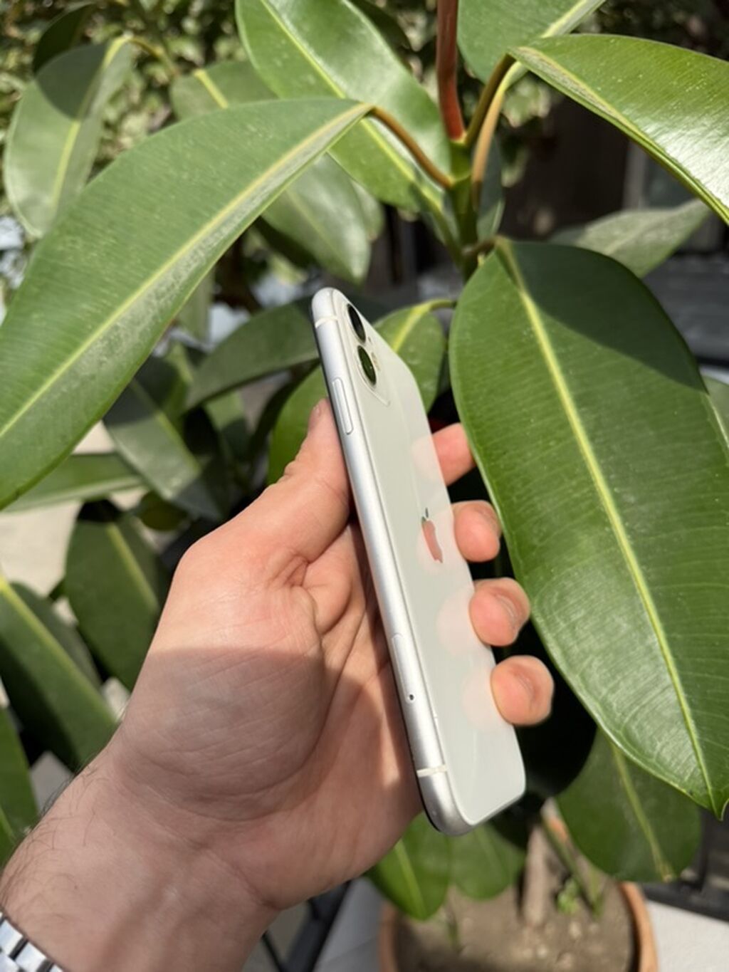 IPhone 11, Ağ, Face ID — Apple iPhone, Masazır (2)