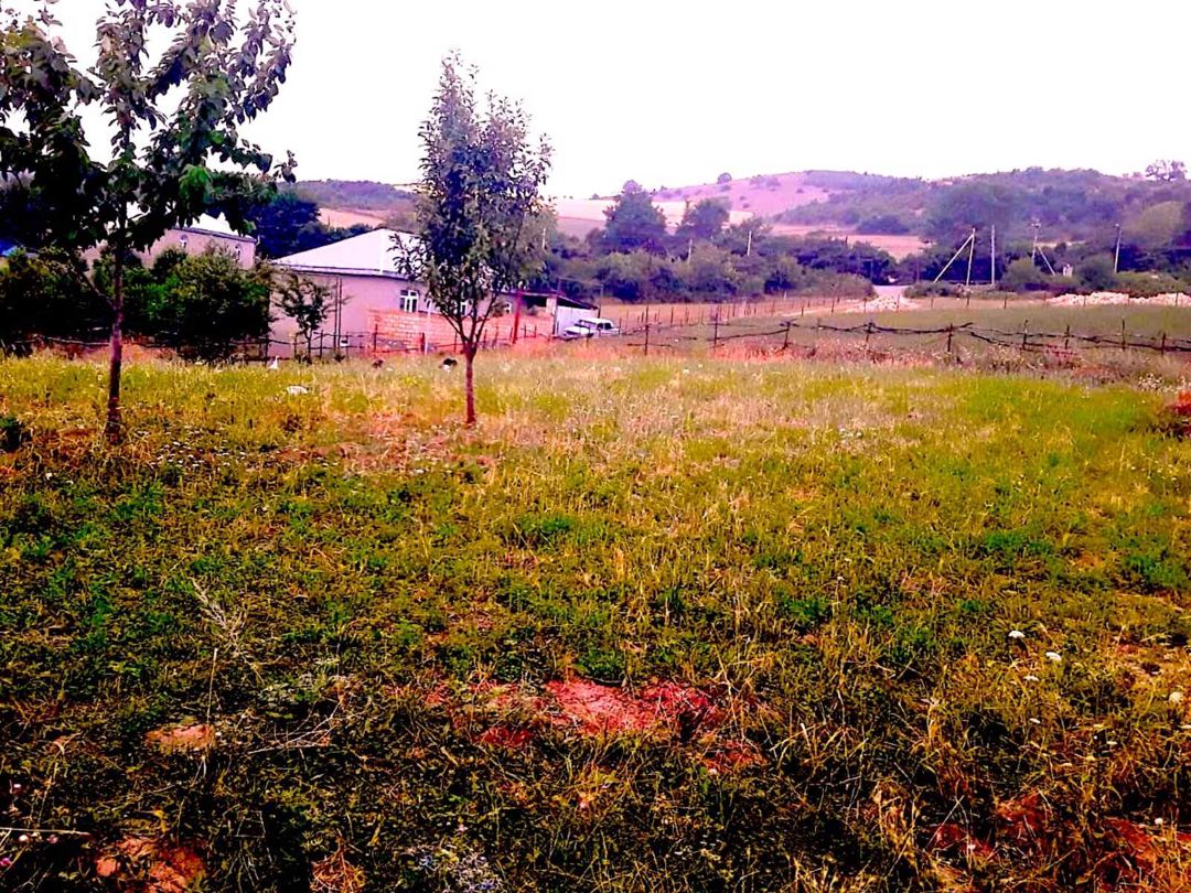 10 sot torpaq sahəsi, Qusar r — Torpaq, Qusar (5)